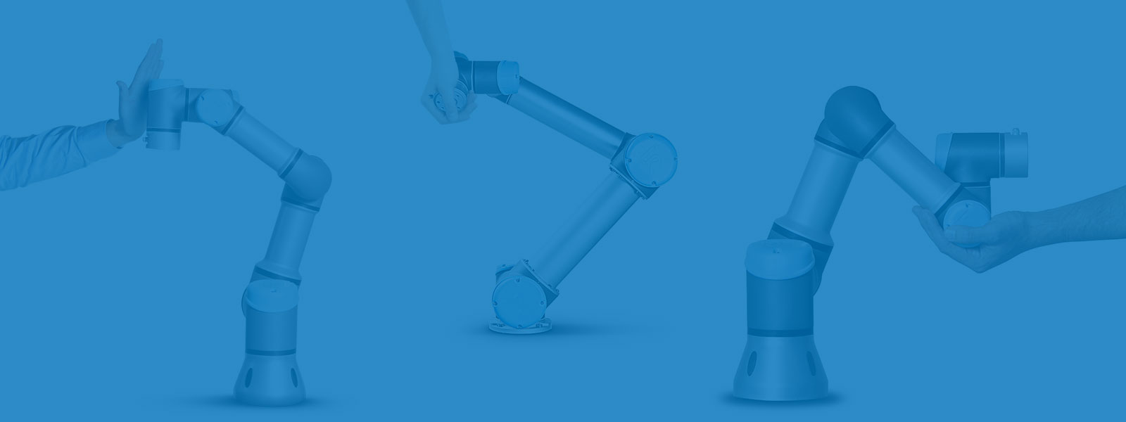 Bimba Catalog Download